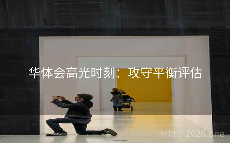 华体会高光时刻：攻守平衡评估  第2张