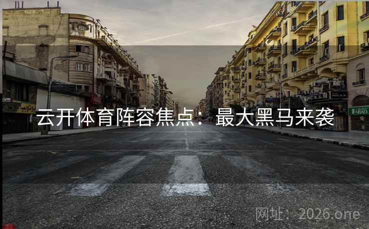 云开体育阵容焦点：最大黑马来袭  第2张