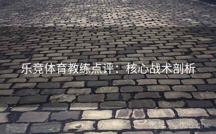 乐竞体育教练点评：核心战术剖析  第2张