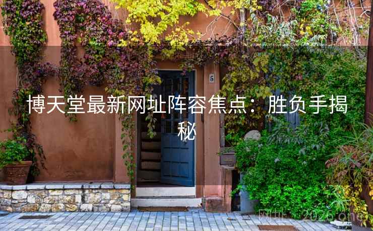 博天堂最新网址阵容焦点：胜负手揭秘  第2张