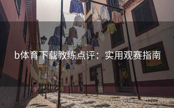 b体育下载教练点评：实用观赛指南  第2张