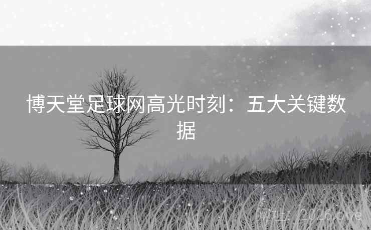 博天堂足球网高光时刻：五大关键数据  第2张