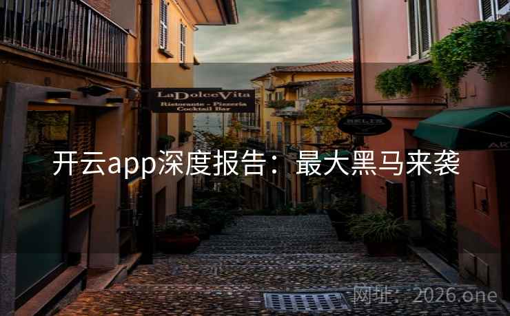 开云app深度报告：最大黑马来袭  第2张