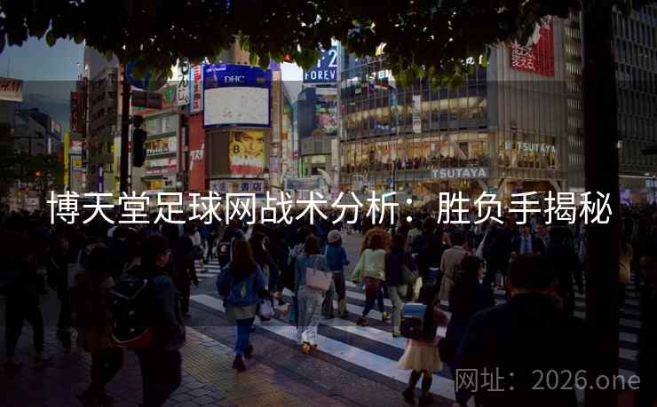 博天堂足球网战术分析：胜负手揭秘  第2张