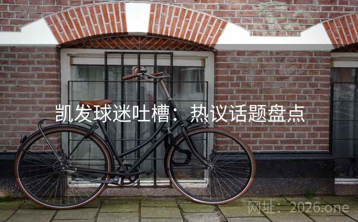 凯发球迷吐槽：热议话题盘点  第2张