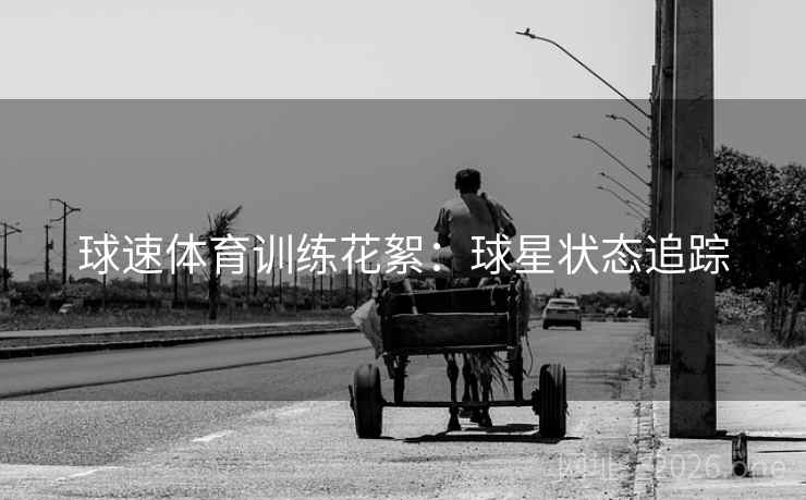 球速体育训练花絮：球星状态追踪