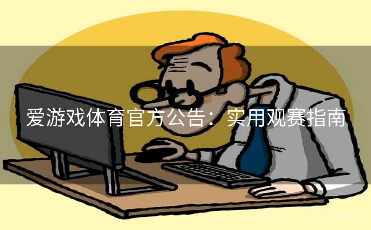 爱游戏体育官方公告：实用观赛指南  第2张