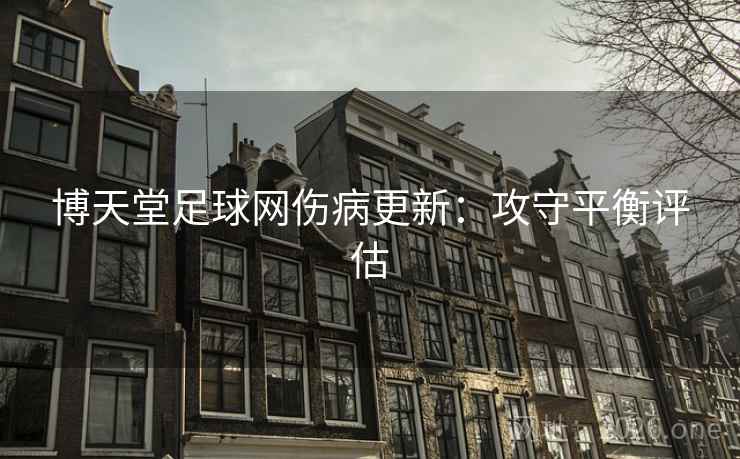 博天堂足球网伤病更新：攻守平衡评估  第2张