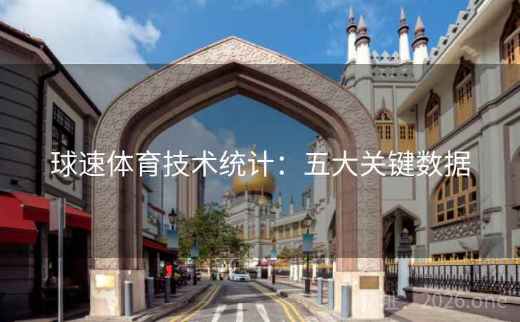 球速体育技术统计：五大关键数据  第2张