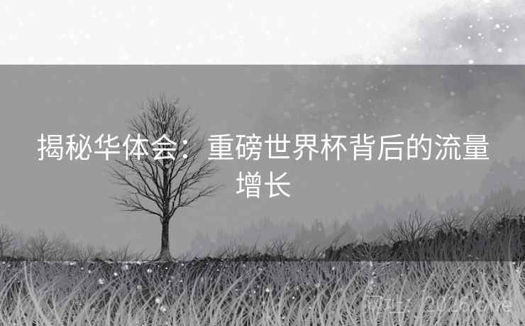 揭秘华体会：重磅世界杯背后的流量增长