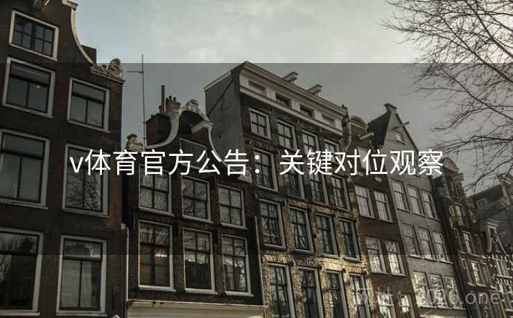v体育官方公告:关键对位观察